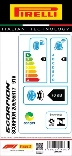 KIT 2 PNEUS 205/55R17 SCORPION 91V (K1) ARO 17 PIRELLI
