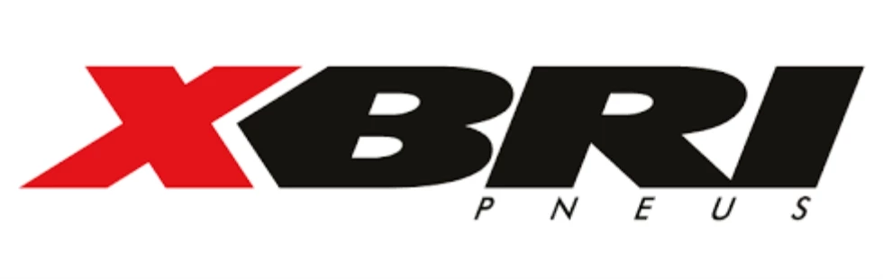 XBRI